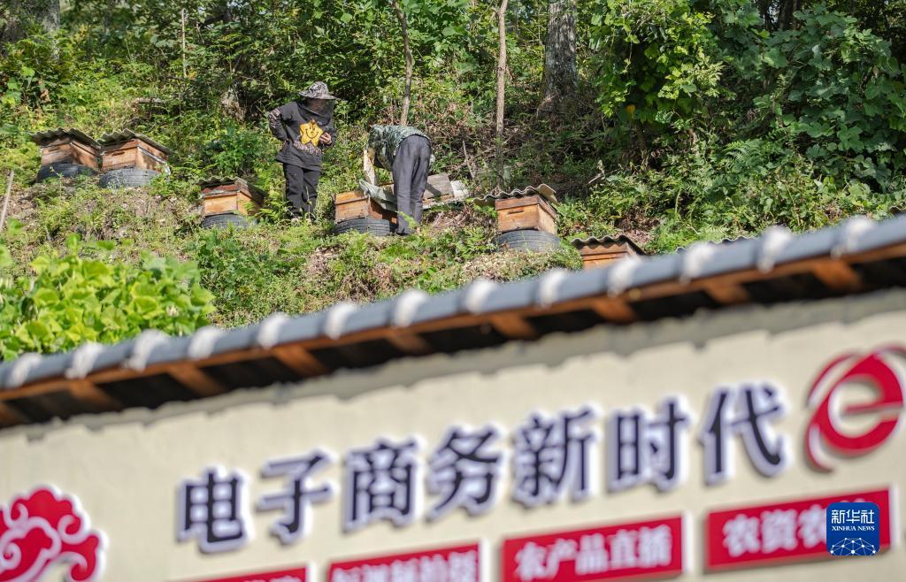 威尼斯人游戏